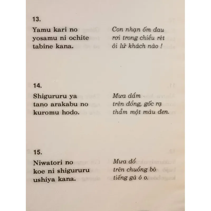 Basho và thơ Haiku (Nhật Chiêu dịch) 759008