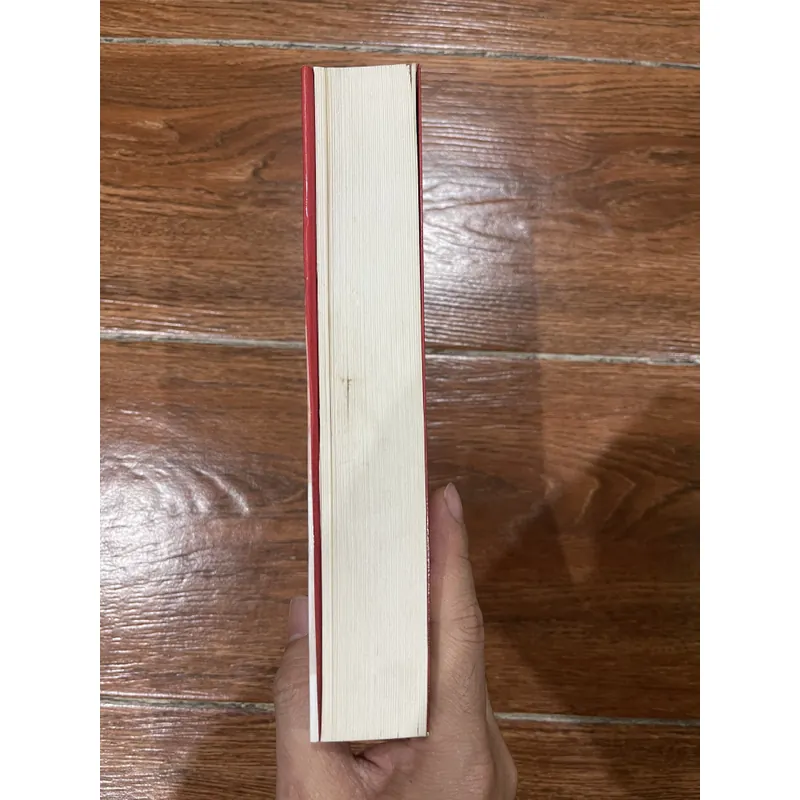 Sự thật về vụ án Harry Quebert hay Chuyện nàng NOLA (9) 721193