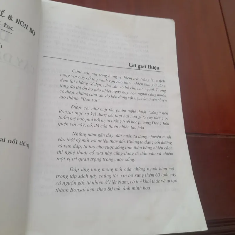 BONSAI Cây dáng, thế và Non bộ 751882