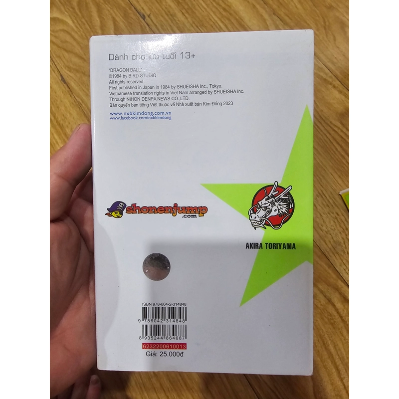 Dragon ball tập 13 443937