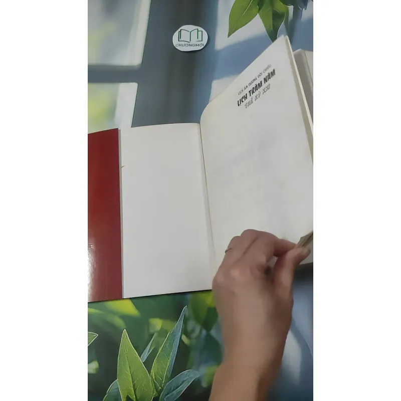 [MIỄN PHÍ BỌC SÁCH] Lịch Trăm Năm Thế Kỷ XXI - Lê Khánh Trường 1018914