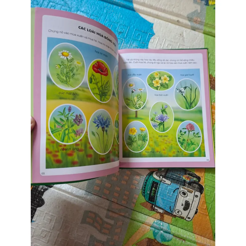 Thế giới hình ảnh của bé - Thế giới tự nhiên 975675