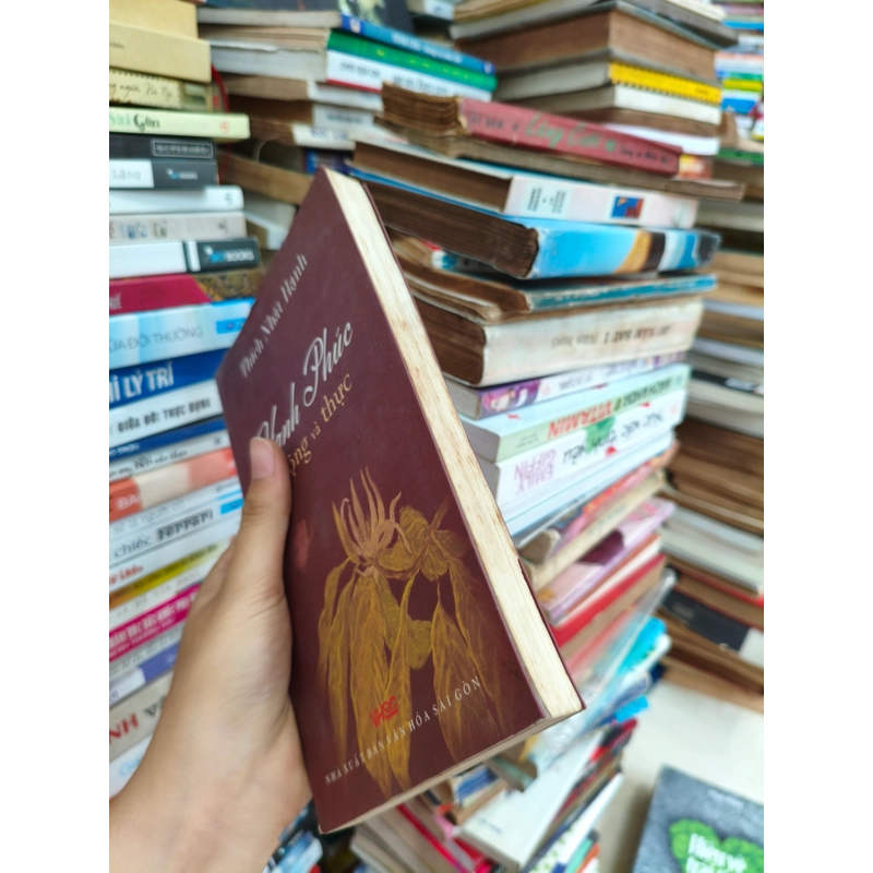 Hạnh phúc mộng và thực 🌱 508770