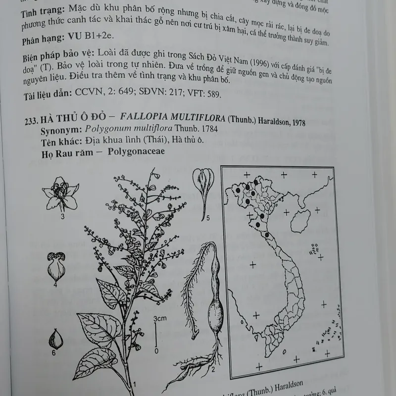 SÁCH ĐỎ VIỆT NAM - PHẦN THỰC VẬT  568462