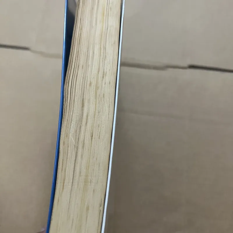 Trí Tuệ Do Thái 751043