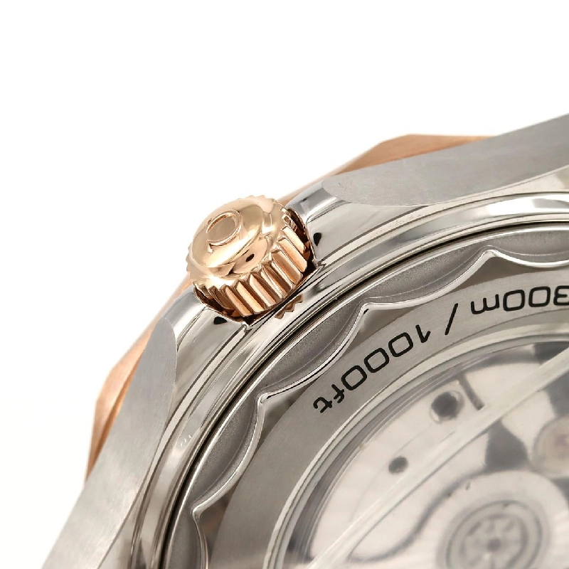 Đồng hồ Omega Seamaster Diver 300M PG Combi 210.20.42.20.01.001 SSxPG tự động - Hàng hiệu Chính hãng 883245