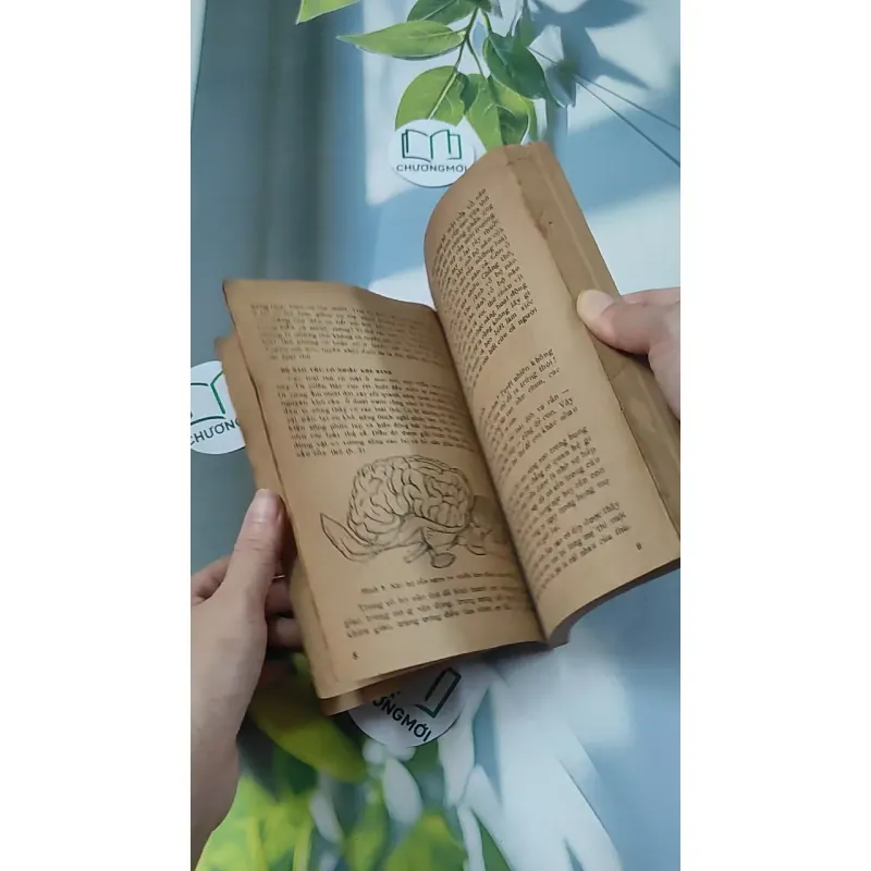 [XƯA] Tìm Hiểu Các Loài Thú (1988) - Lê Vũ Khôi 775993