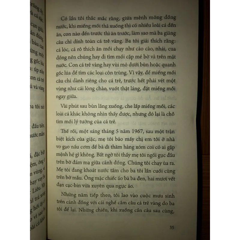 Người Sài Gòn bất đắc dĩ 658135