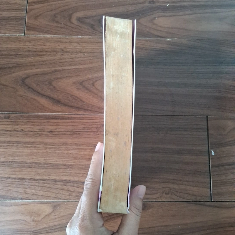 Đồng đồng và kỳ kỳ 508516
