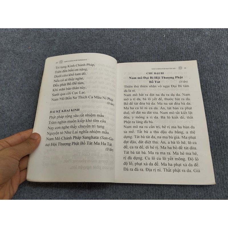 KINH CHÁNH PHÁP SANGHATA 494734