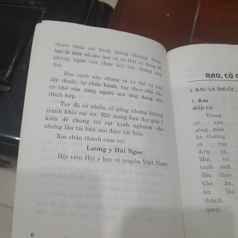 Lương y HẢI NGỌC - RAU QUẢ CỦ PHÒNG TRỊ BỆNH qua bữa ăn hàng ngày 300462