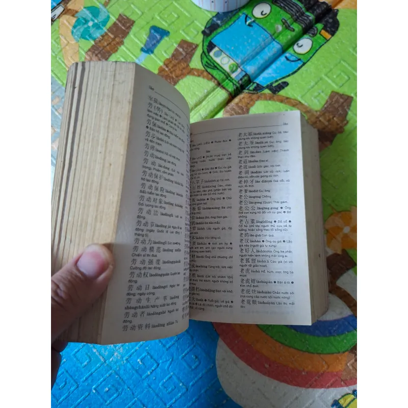 Từ Điển Trung - Việt 995067