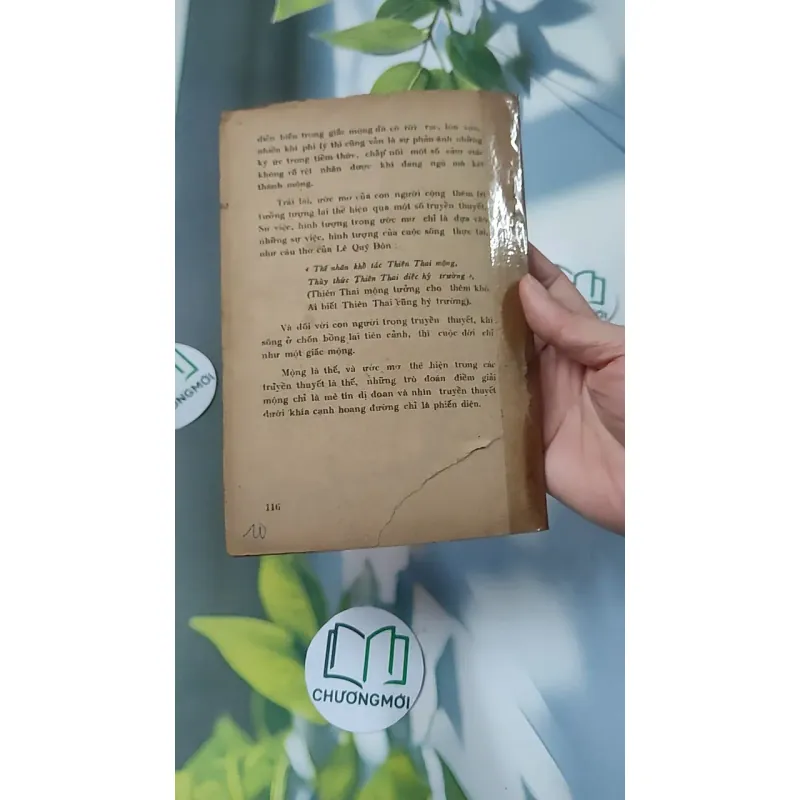 [XƯA] Mộng Du - Huyền Thoại & Hiện Thực (1988) - Phạm Hổ 776011