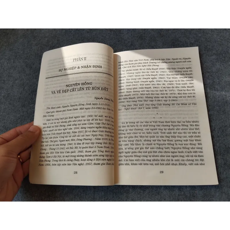NGUYÊN HỒNG KHỔ ĐAU VÀ SÁNG TẠO 719974