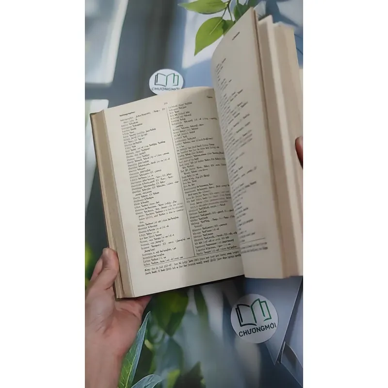 [MIỄN PHÍ BỌC SÁCH] [XƯA] A Pronouncing Dictionary Of American English (1953) 990529
