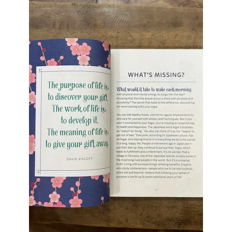 My Little Ikigai Journal - Amanda Kudo 734931