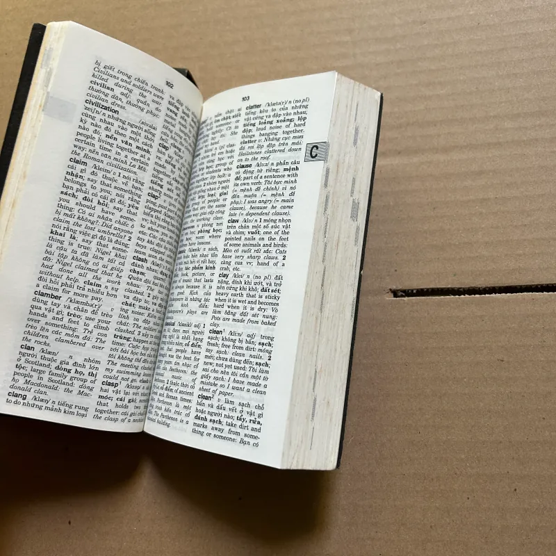 Từ điển Anh - Việt 989887