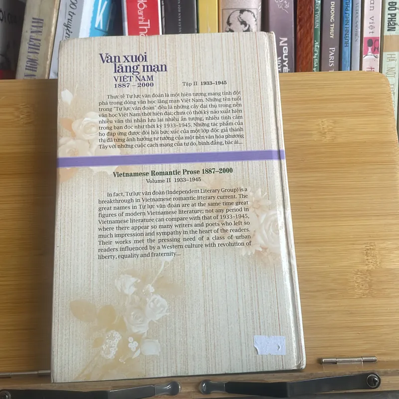 Văn Xuôi Lãng Mạn Việt Nam 1887-2000 688385