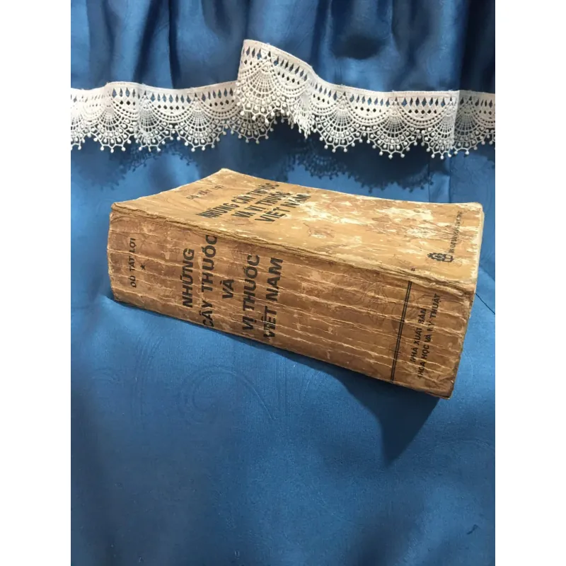 Những cây thuốc vị thuốc Việt Nam 958095