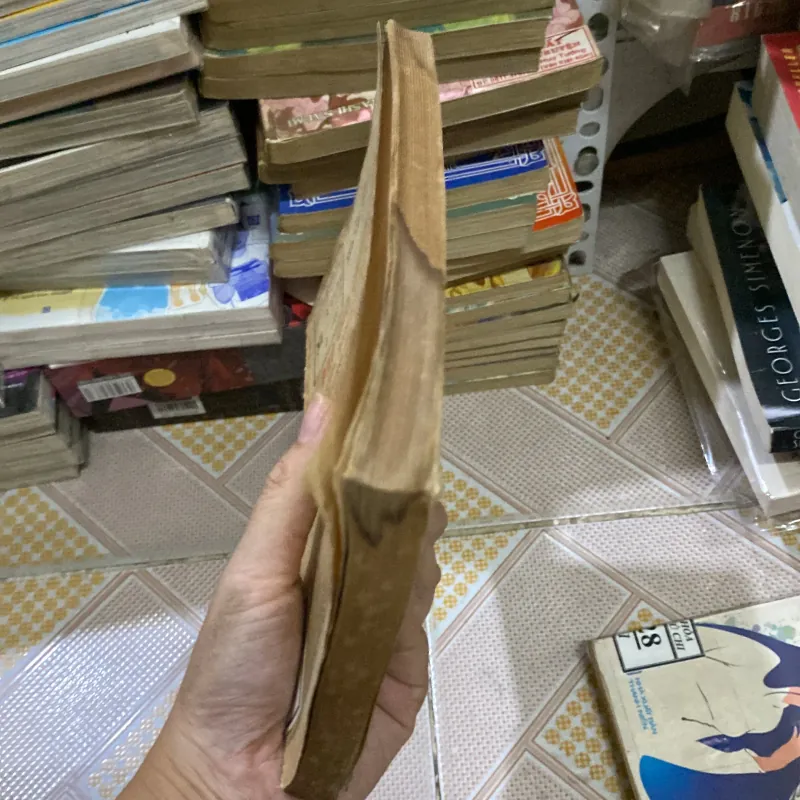 Báo cáo chính trị của Ban Chấp hành Trung ương Đảngp 1011493