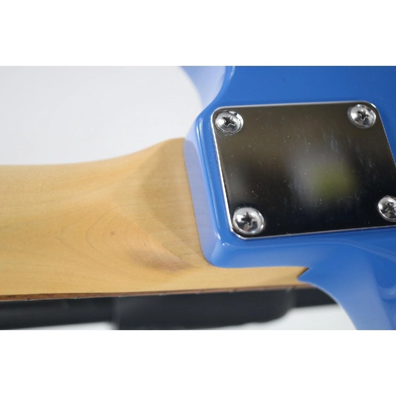 BANG DREAM! SNAPPER TAE - Hàng hiệu Authentic 876346