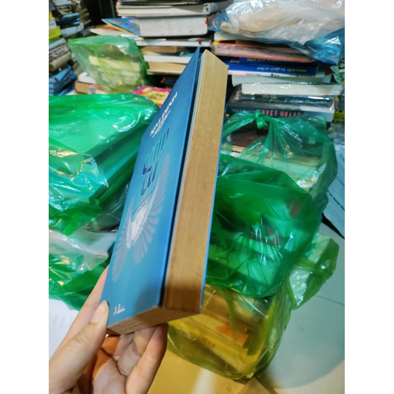 TÂM tư của Kim Định 471370