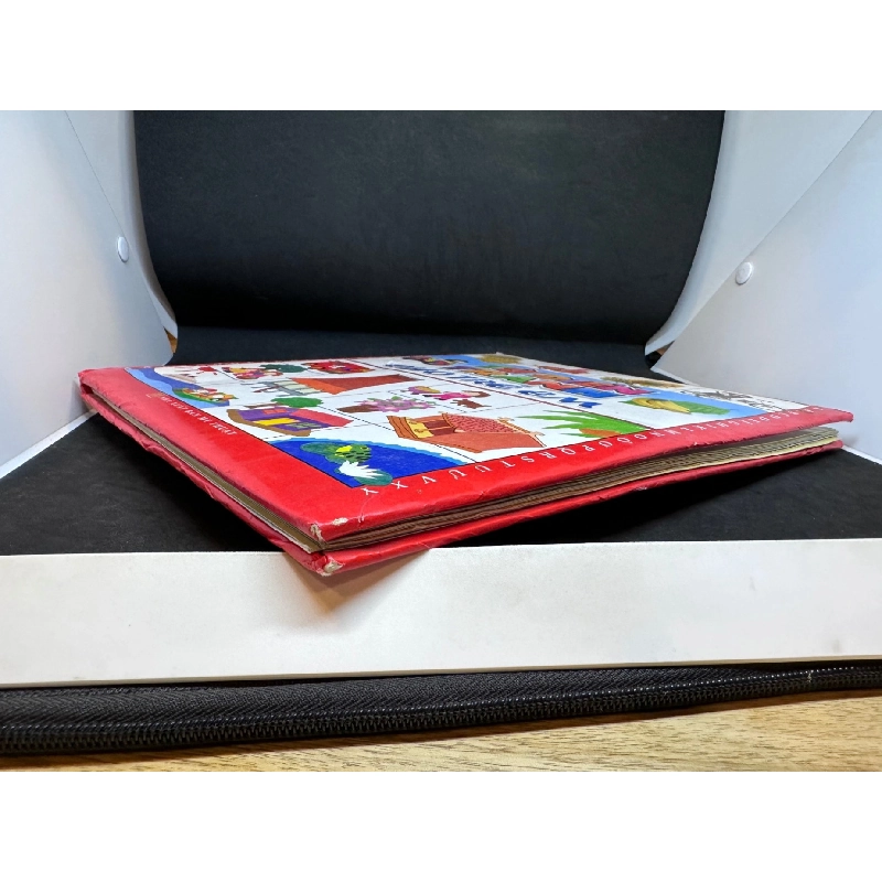 Từ Điển Tranh Cho Trẻ Em, Mới 80%, 2009 SBM2407 916447