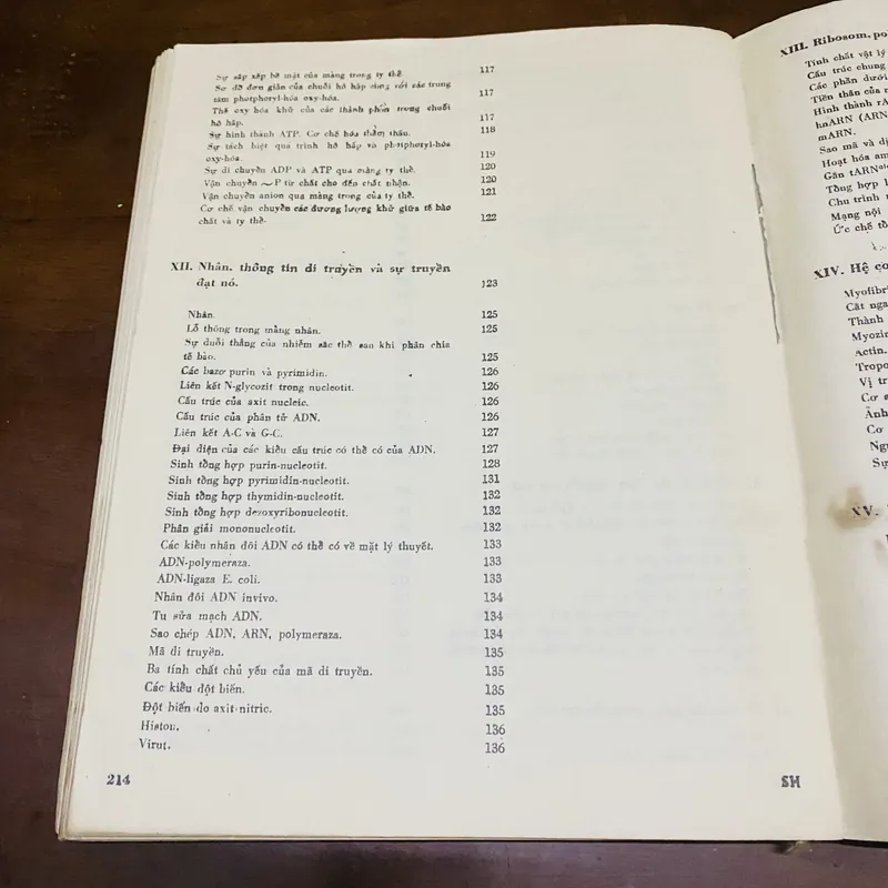 Sinh hoá học hiện đại theo sơ đồ  726792