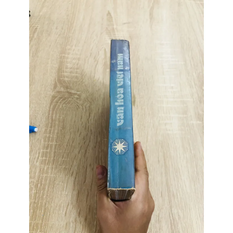 VĂN HOÁ VIỆT NAM 1989 - 1995 970546