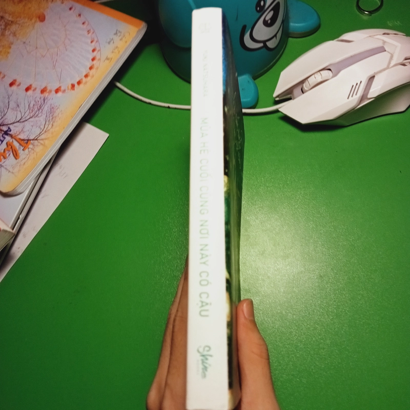 MÙA HÈ CUỐI CÙNG NƠI NÀY CÓ CẬU LIGHT NOVEL 455522