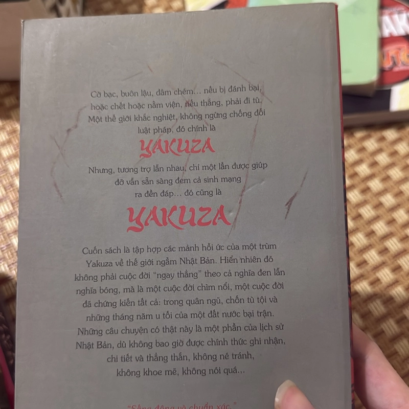 Đời Yakuza - Saga Junichi 524415