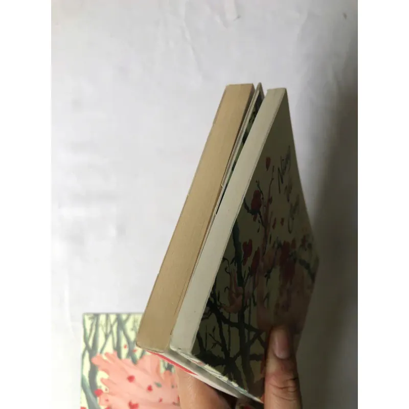 Sách của Mori Ogai: Nàng Vũ Công & Nhạn 926518