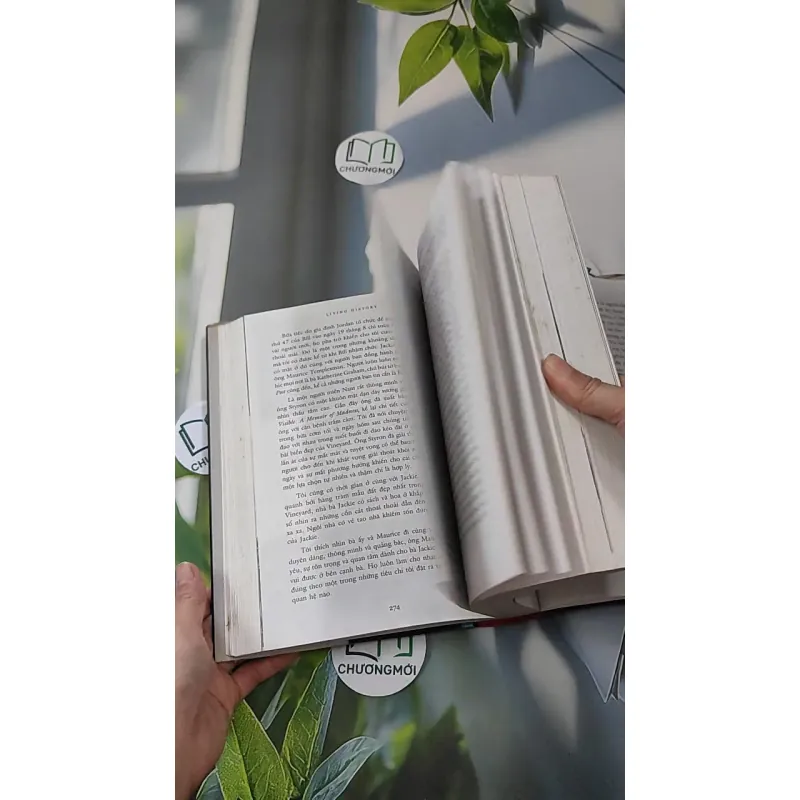 [MIỄN PHÍ BỌC SÁCH] Living History - Hồi Ký Hillary Clinton - Hillary Clinton 990226