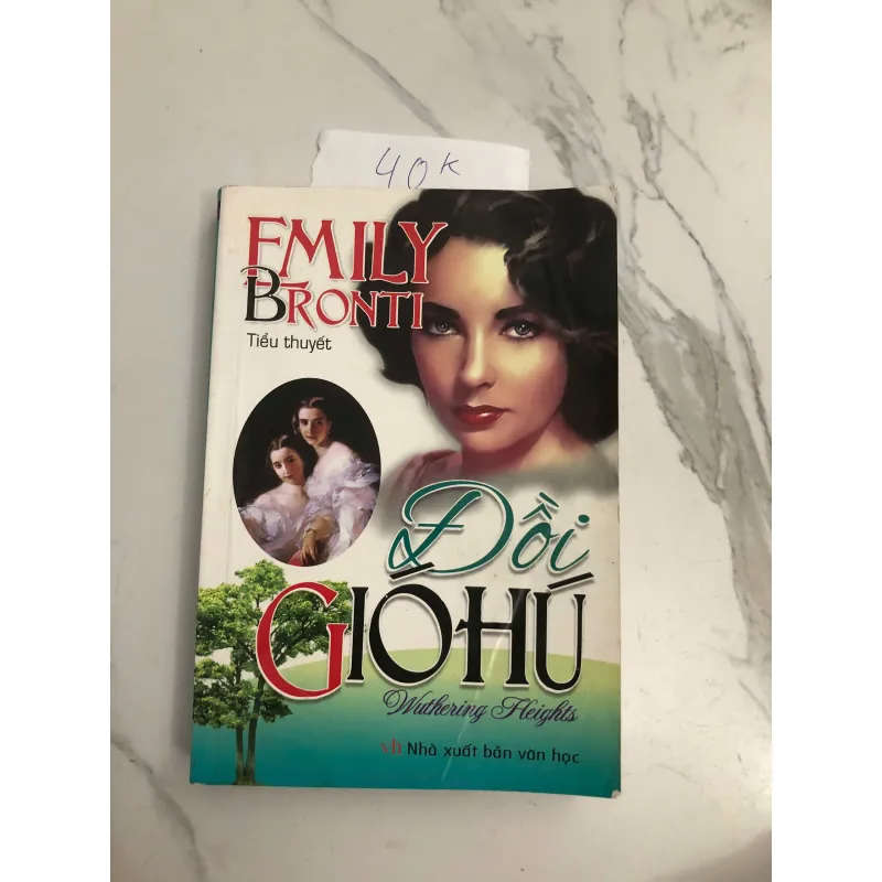 Đồi Gió Hú (Wuthering Heights) - Emily Brontë - Tiểu thuyết cổ điển, Lãng mạn Gô-tích 602460