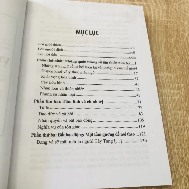 VƯỢT KHỎI GIÁO ĐIỀU 1003985