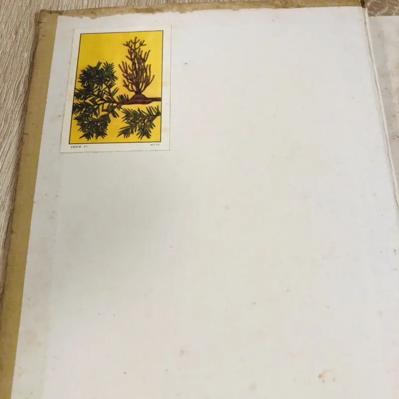 MANUEL DU GRADÉ (Tome II) – Sách quân sự Pháp xưa 1953 971137