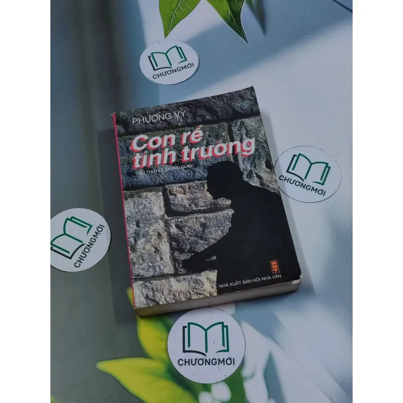 Con rể tỉnh trưởng - Phương Vỹ 695009