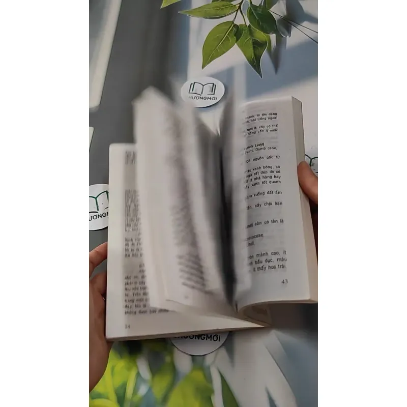 Kỹ Thuật Trồng Hoa Kiểng - Huỳnh Văn Thới 727272