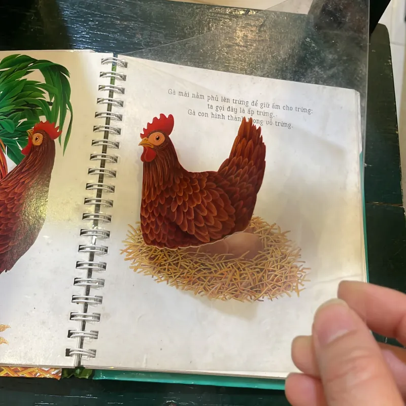 Những khám phá đầu tiên của tớ : Trứng - nhã nam  1027418