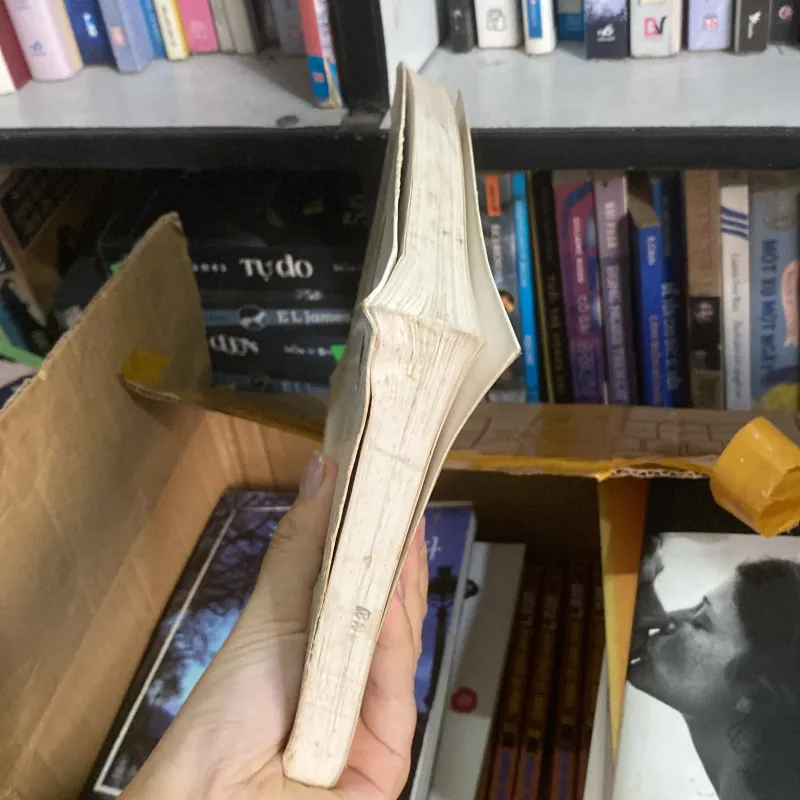 그 많던 싱아는 누가 다 먹었을까" (Ai đã ăn hết những cây singa ngày ấy?) của tác giả Park Wan-suh 759954