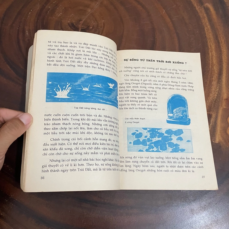 II Tựa sách: Sự Sống _ Nguồn Gốc Và Quá Trình Tiến Hoá - Phan Thanh Quang - 1998 462517
