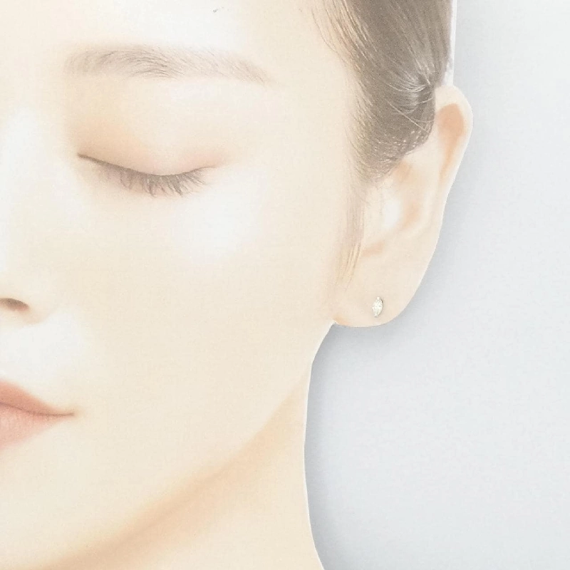 PT900 Bông tai kim cương 0.22CT - Hàng hiệu Chính hãng 867896