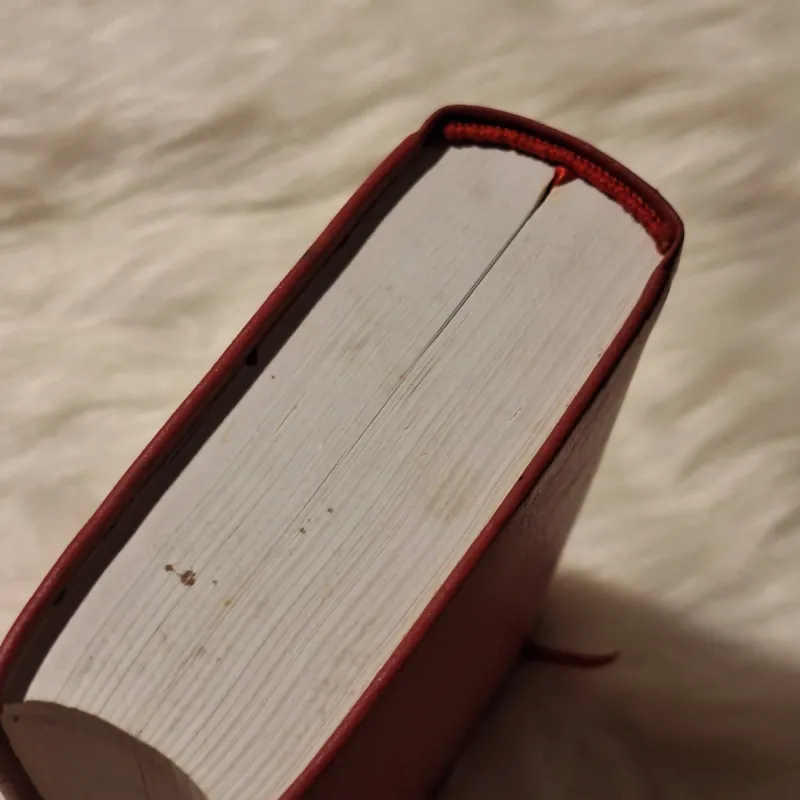 Tân Ước The New American Bible 782798