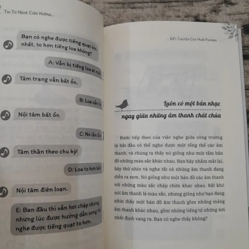 Tai nghe chín hướng- Biết chuyện mười phương. Luyện tai nghe thấu. OOPSY 746068