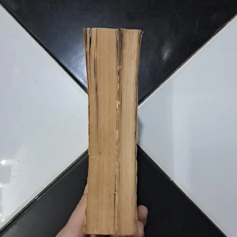 Đai Việt Sử Ký toàn thư 1003505