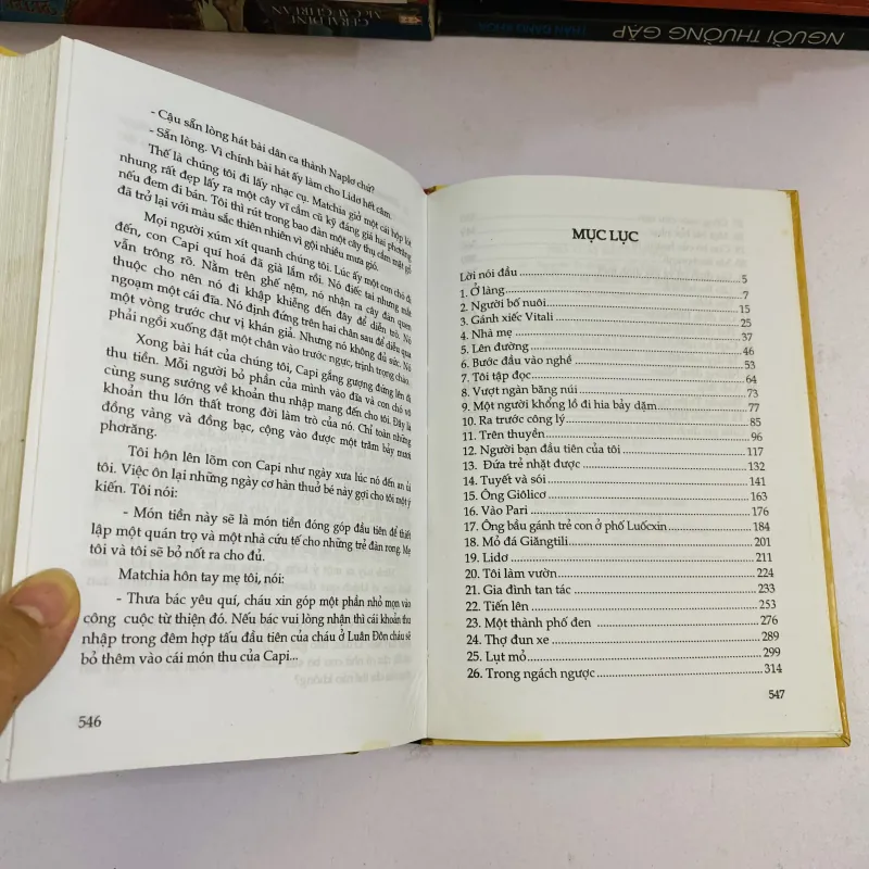Không gia đình- Hecto Malot( bìa cứng) 1046335