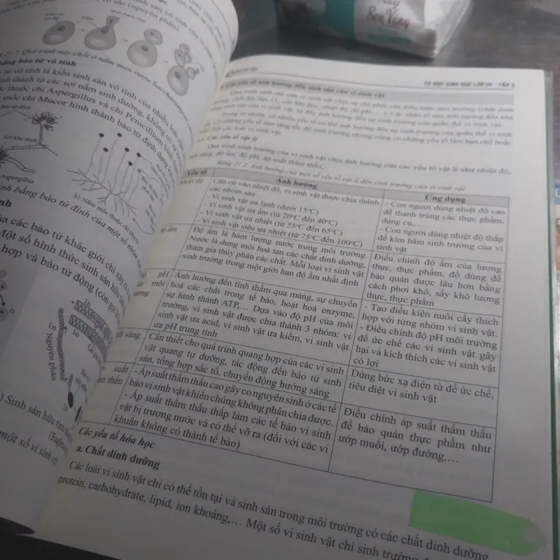 Sách tự học sinh học 10 tập 2 782401