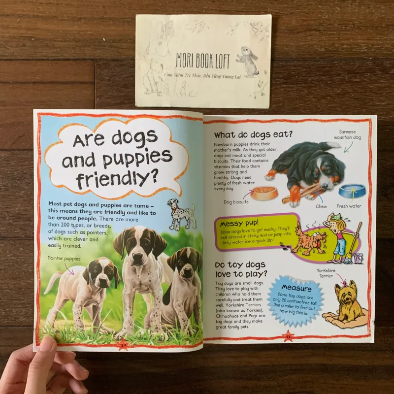 Sách ngoại văn My First Animal Questions and Answers, Used, Siêu Dày 578055