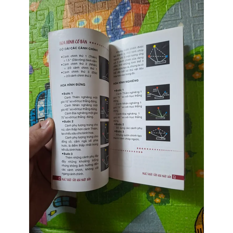 Nghệ thuật Cắm hoa Nhật Bản 1019034