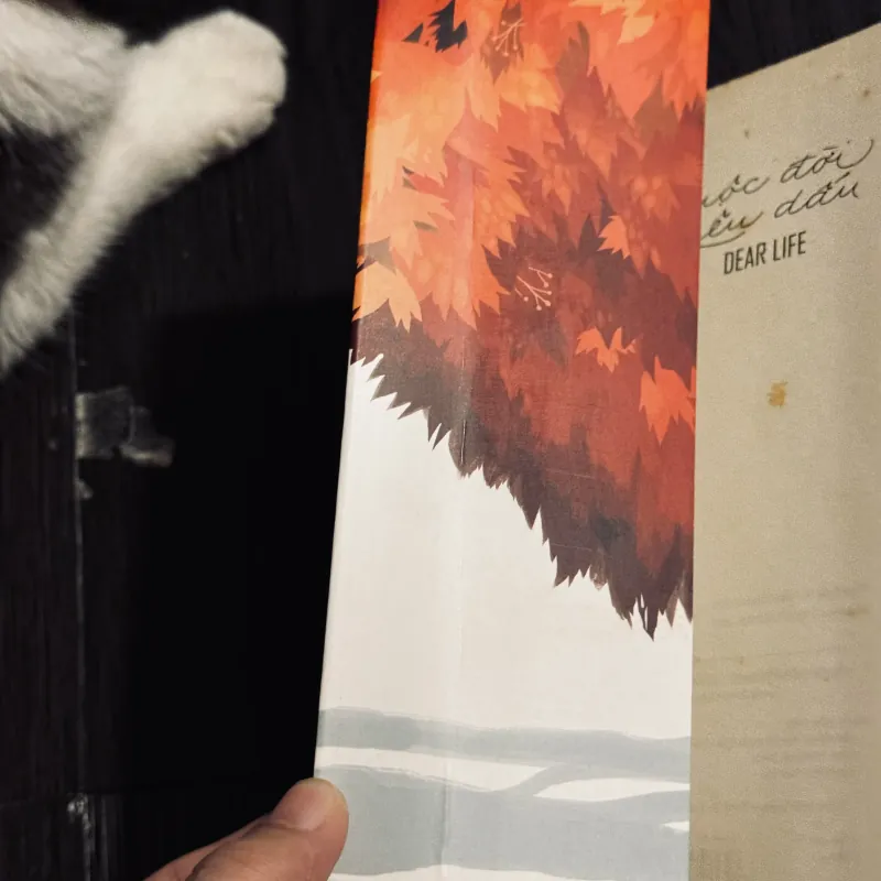 Cuộc đời yêu dấu 745279